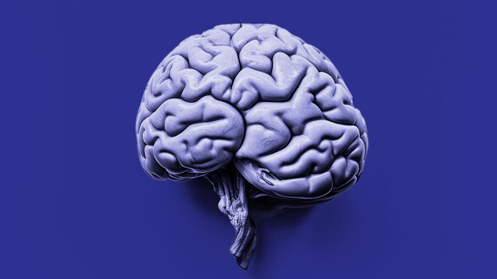 A Neuroplasticidade e o Poder do Aprendizado Contínuo